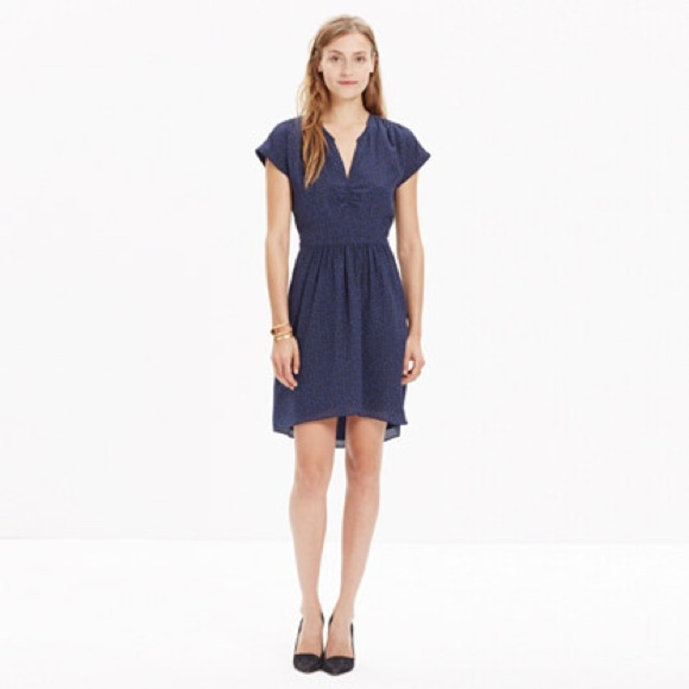 Madewell Silk Cobalt Blue & Black Leaf Fable Dress